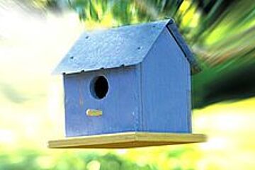 Blaues Vogelhäuschen Böpplebau News